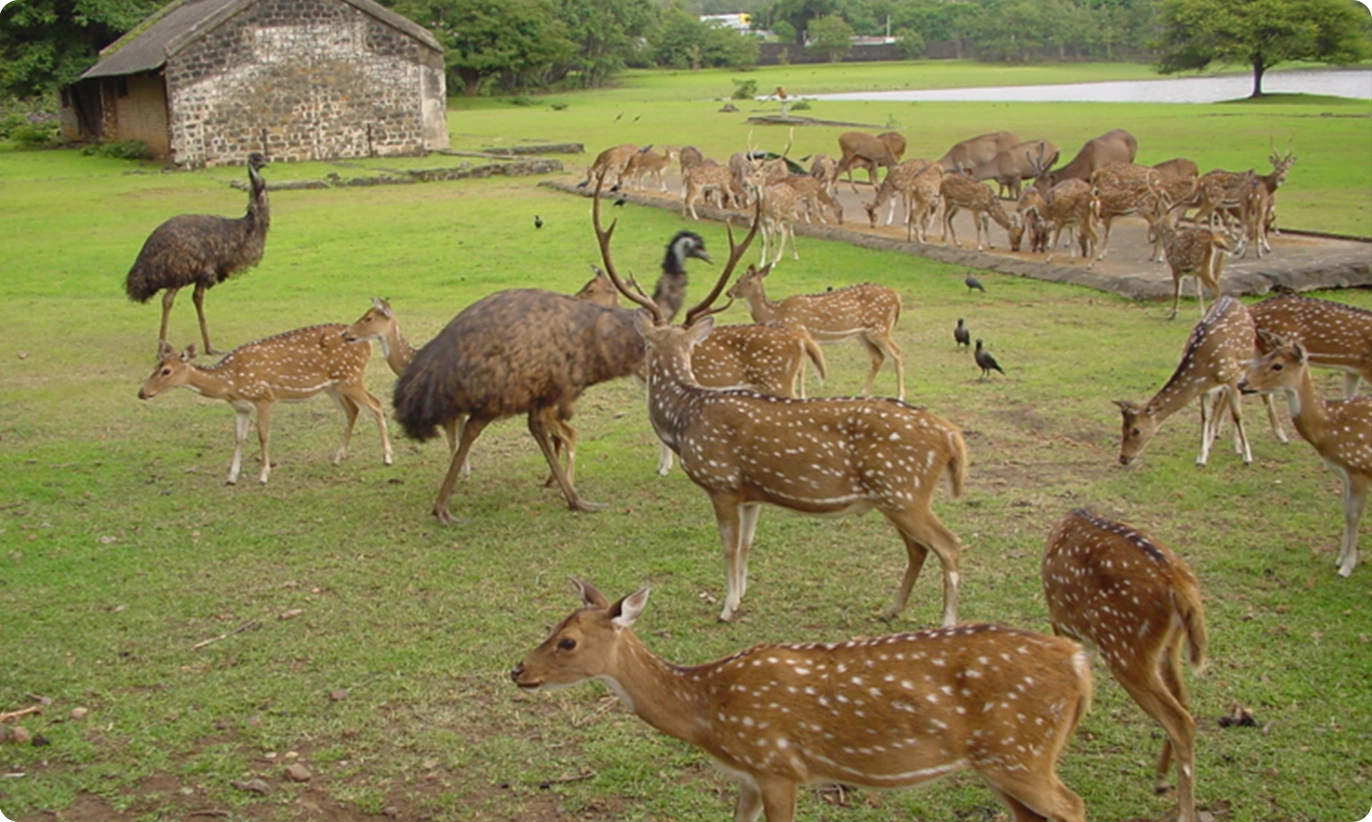 kolhapur_holy_city_img6