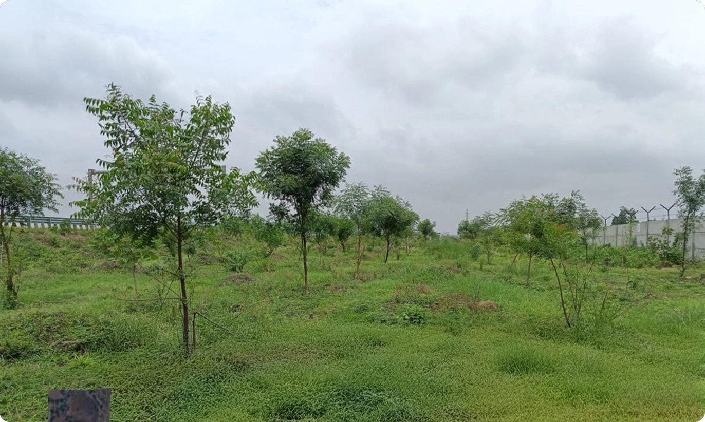 Carbon Neutral Corridor through Plantation along